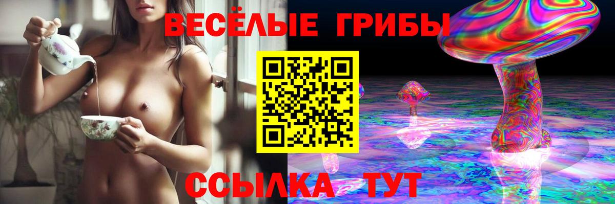 Таганрог  Галлюциногенные грибы мицелий  купить наркотик  Вход с VPN  Галлюциногенные грибы Cubensis 
