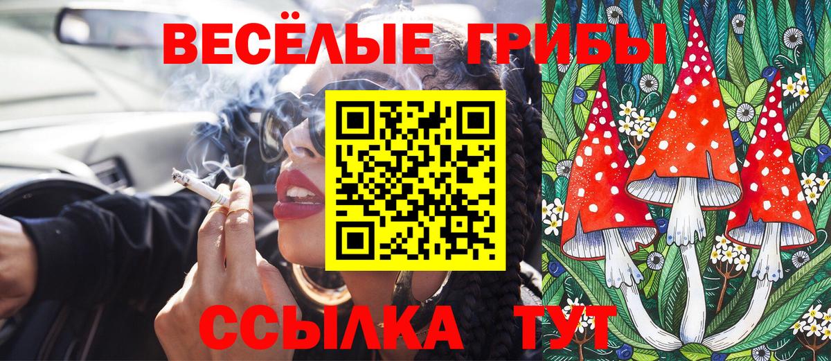 Галлюциногенные грибы прущие грибы Таганрог